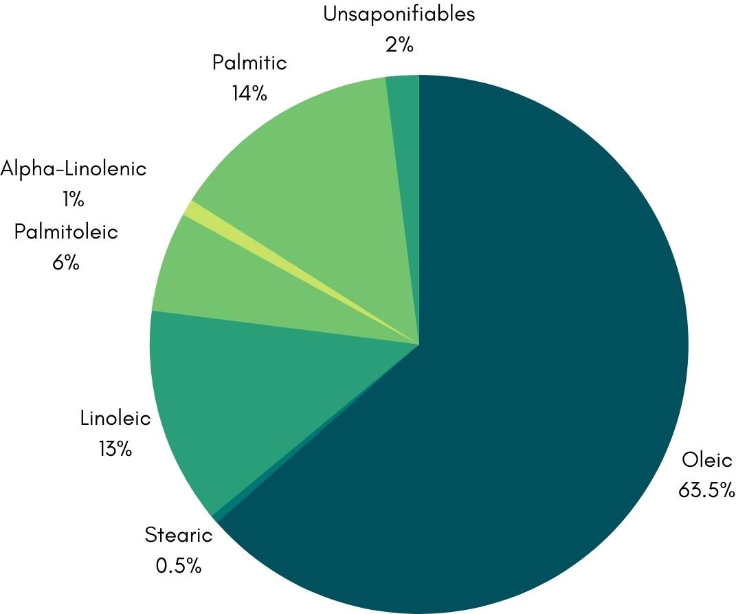 Avocado oil in skincare what are the benefits and how to use it?
